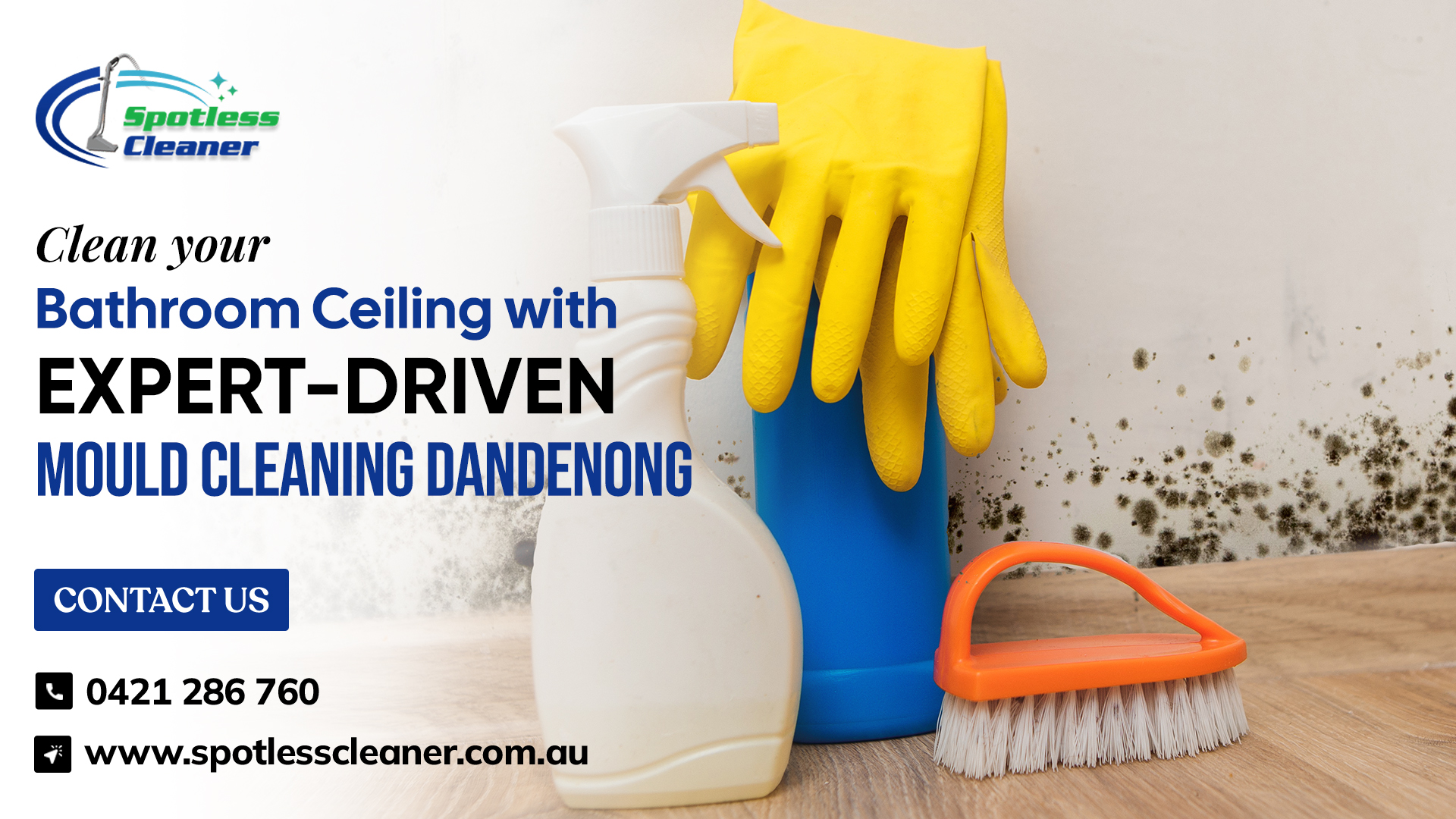 Mould Cleaning Dandenong